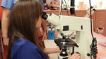 Embryo DNA Analysis