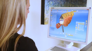 "Long term, long-lasting, and aesthetically very pretty."