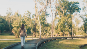 Sutton Law Firm - Estate Planning
