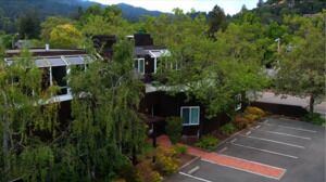 Take a Video Tour of Our Kentfield Office
