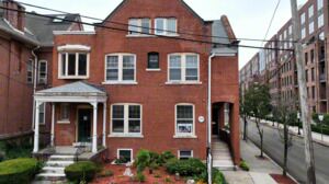 About the Practice V2